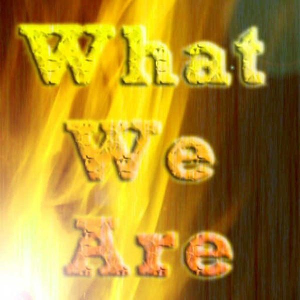 What We Are (Seraphus Judgement Remix)