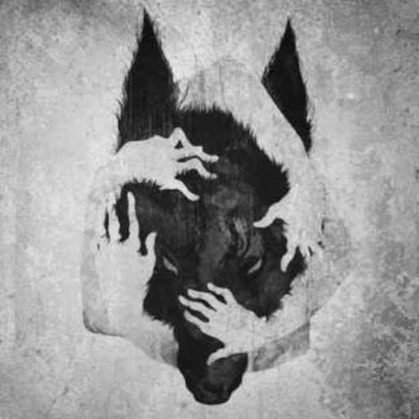 When the night comes