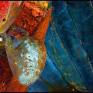 Whimsy (WIP)