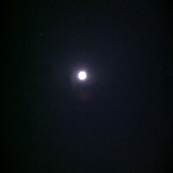 white mooooon