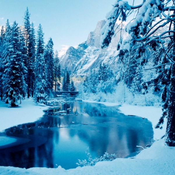 winter