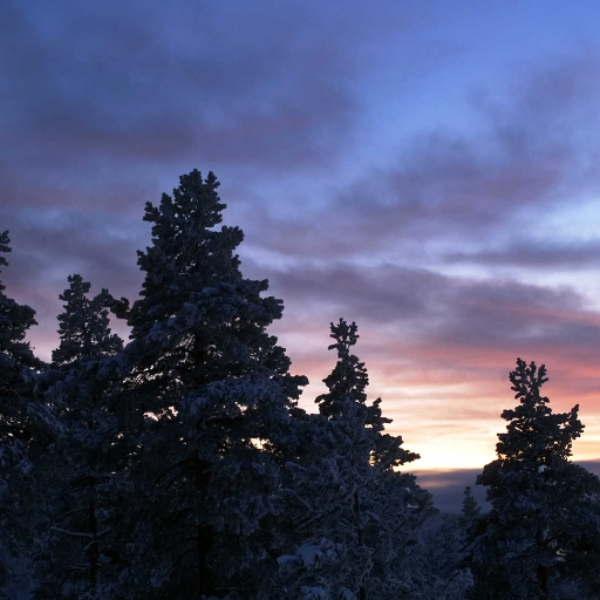 winter dawn