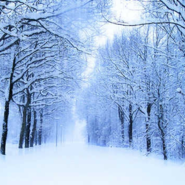 Winter Gaze (Winter Remix Contest 2012)