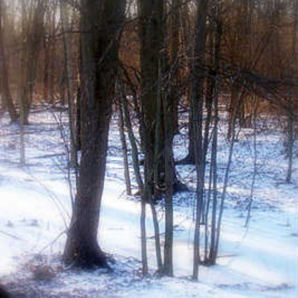 winter hate