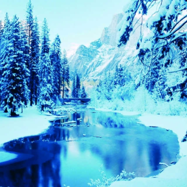 Winter Heart