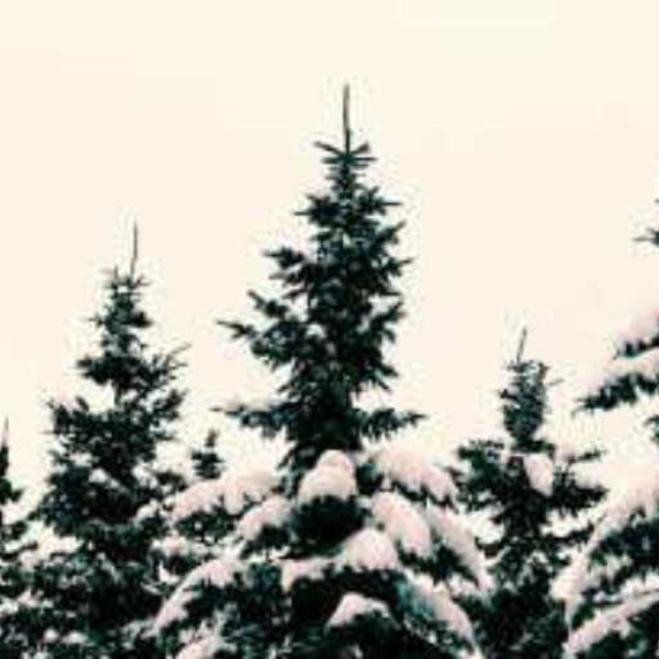 WINTER HILL GNG