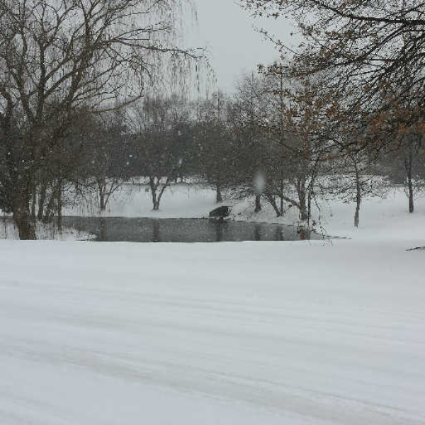 winter part 1