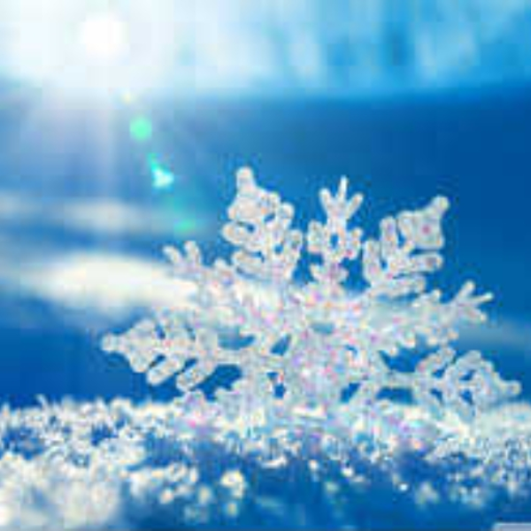 Winter Sky