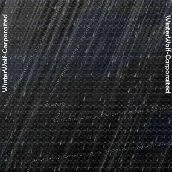 WinterWolf-Ночь,дождь...