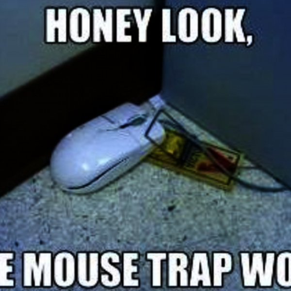 Mouse trap