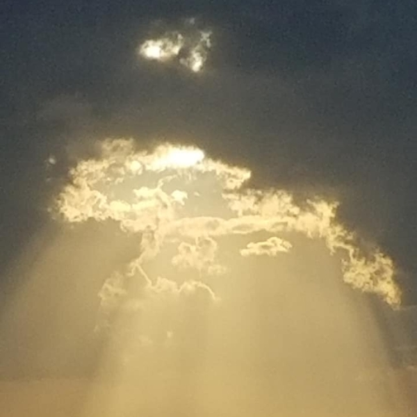 Ascend, Shaka