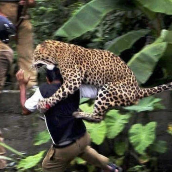 wokeupdoingcrazyshit