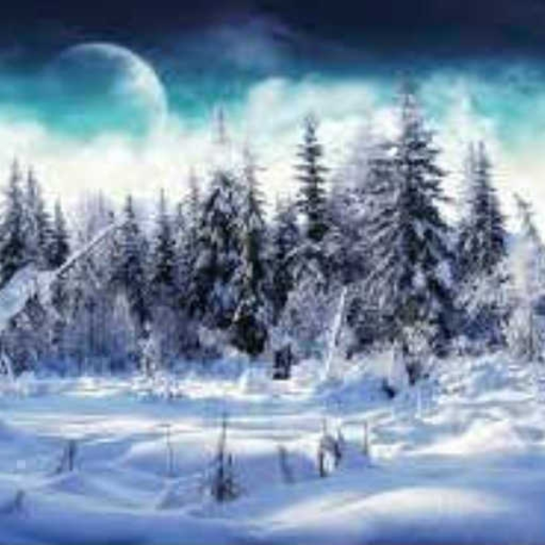 Wonderland