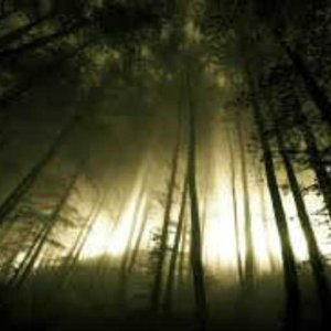 woodland tribe