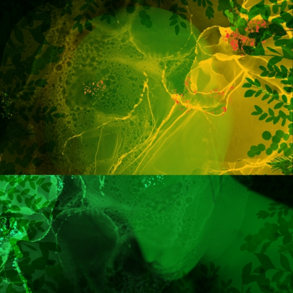 Braingreens (Sample Fun 6)