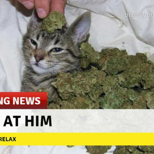 wuh