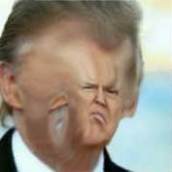 wwhales livve in the sea so wwhy doesnt he