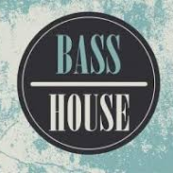 some more bass house  (sandstorm remix)