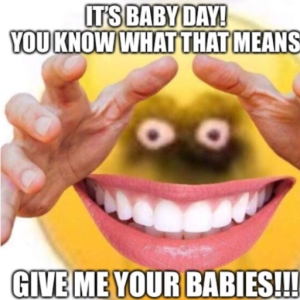 BABY DAY