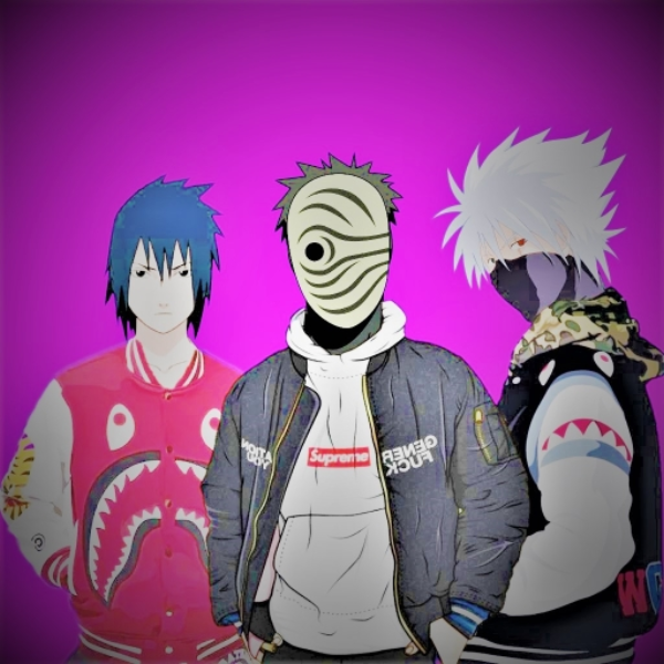 the bois