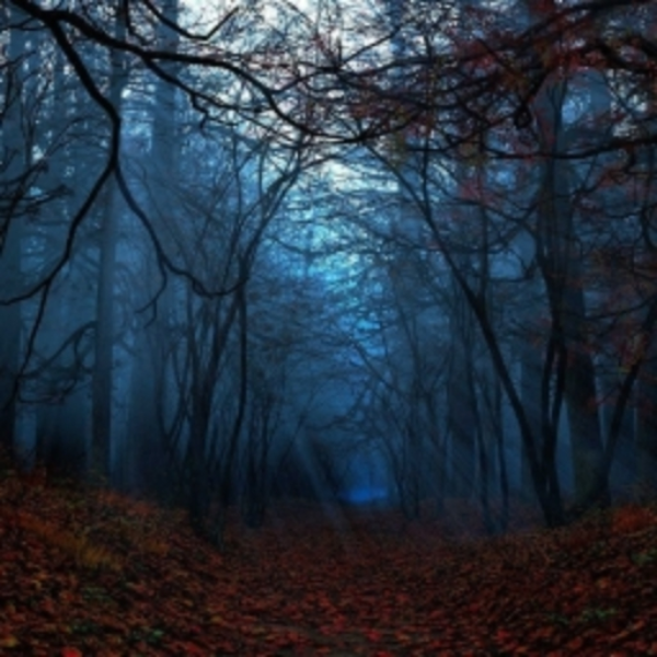 Dark Autumn (VGM edition)