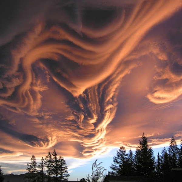 Wispy