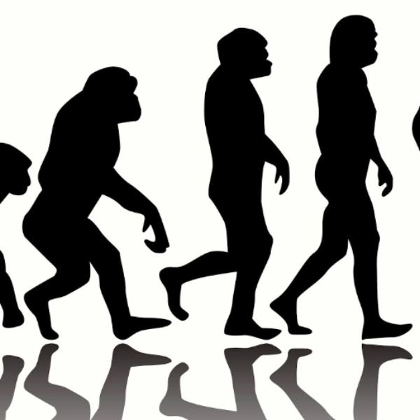 Evolution