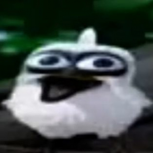 Untitled bird