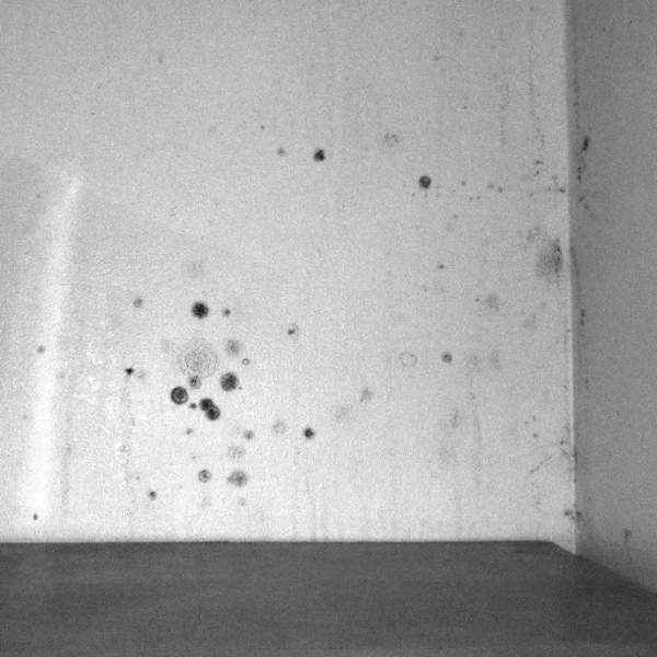 numogram 23/16 (submission mix)