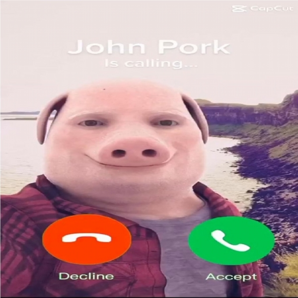 Linkin Pork