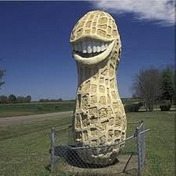 jaws of the legume