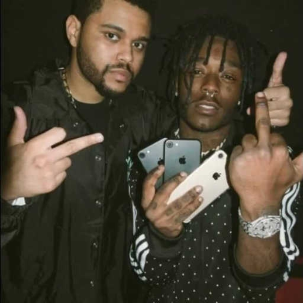 XO TOUR Llif3 Sample 2