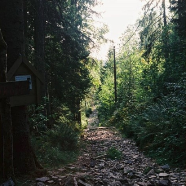 glade