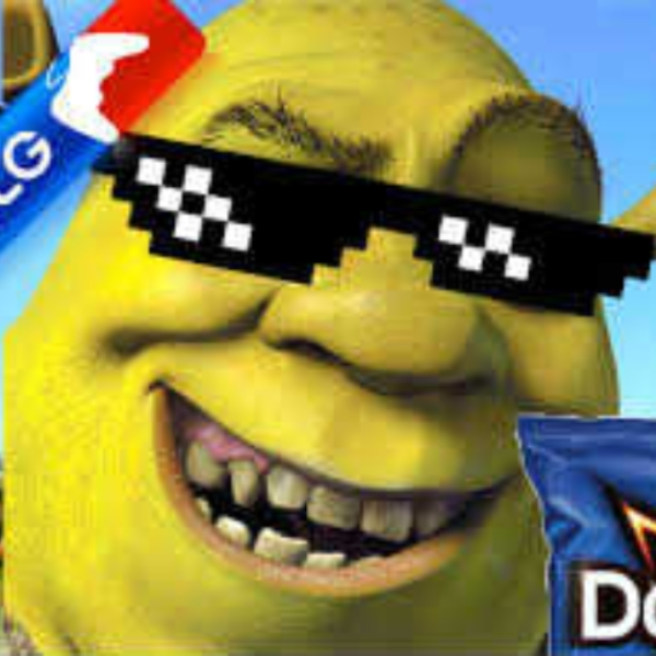 xXxbumpygoosesmokingsnoopxXx