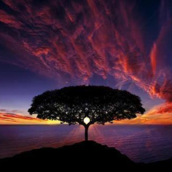 Meditação Celeste