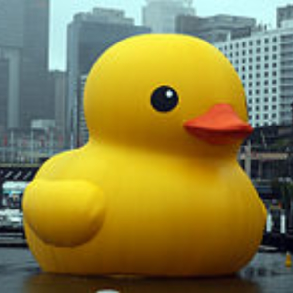 rubba ducko