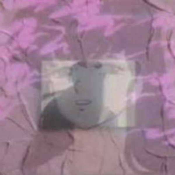 X / / 16