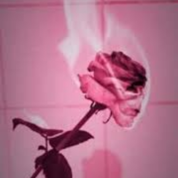 Lil Skies x Yung Zip- "++flowers++"(tb) prodby ataonthebeat