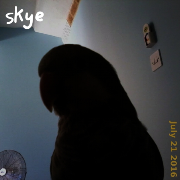 skye