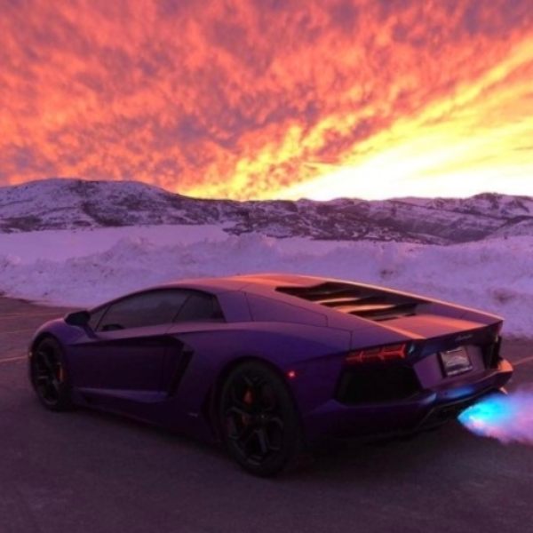 Brand New Whip