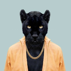 Panther