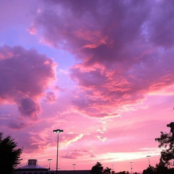 Pink Summer