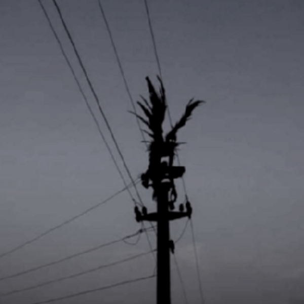 SHINIGAMI!