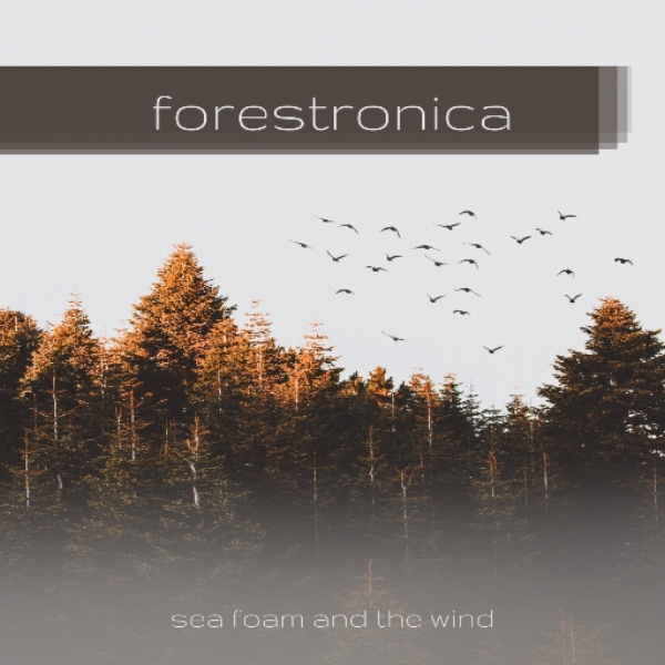 forestronica (no sample)