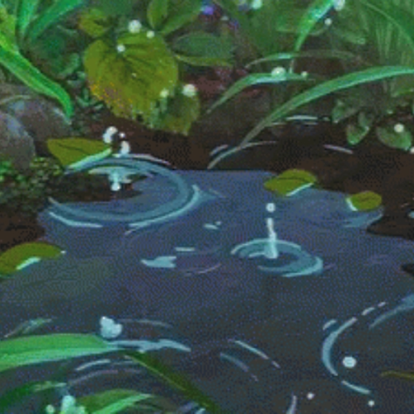 petrichor
