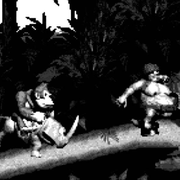 How is Donkey Made to Kong?