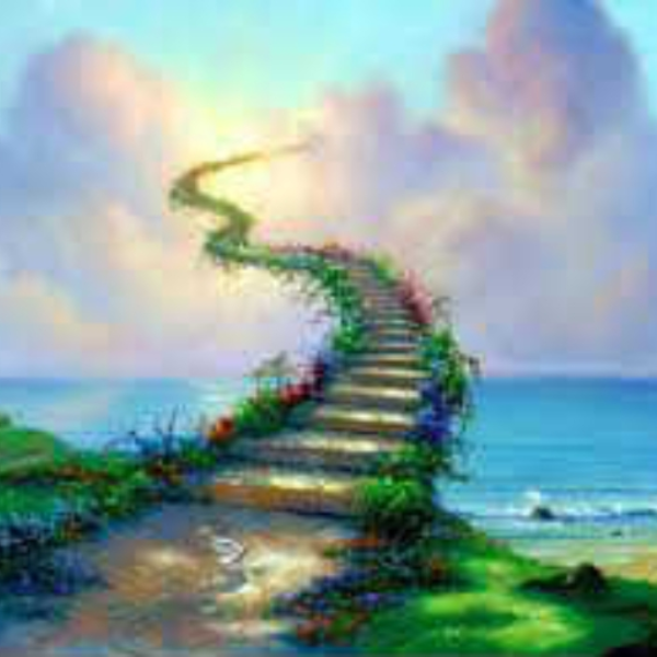 your dream