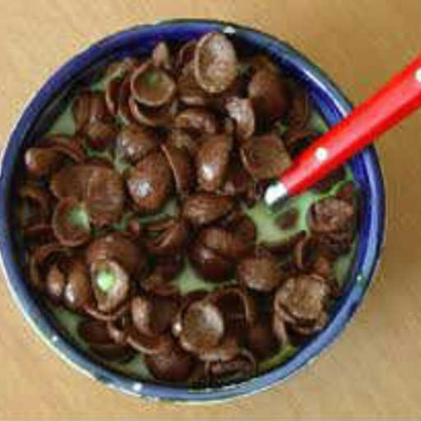 Your Mother S*ucks For A Chocapic