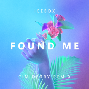 Found Me - Tim Derry Remix