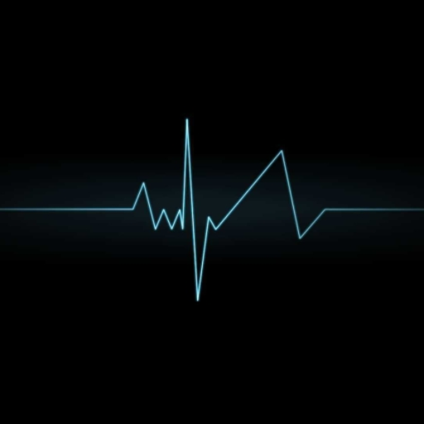 ysc_2 (Short)